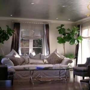 Walls & Ceilings